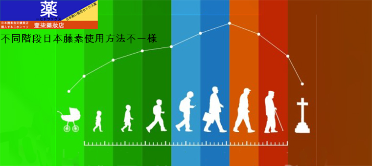 日本藤素作用